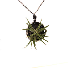 Load image into Gallery viewer, Air Plant Necklace